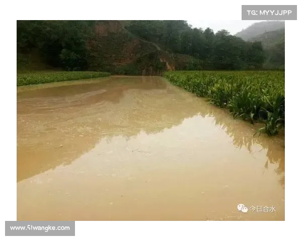河南旱涝交替考验农田:辛苦抢救的庄稼又被暴雨淹没(河南旱灾成因) 河南旱涝交替考验农田:辛苦抢救的庄稼又被暴雨淹没(河南旱灾成因)